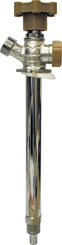 ALT
