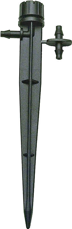 ALT